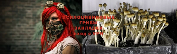 мяу мяу мука Балабаново