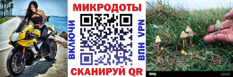 Галлюциногенные грибы Psilocybe  Сковородино 